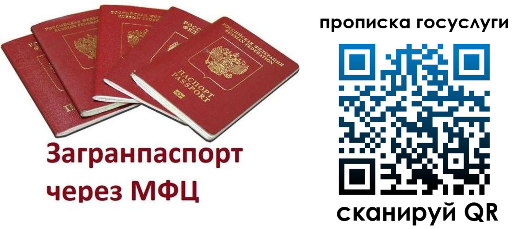 купить прописку в Мытищах